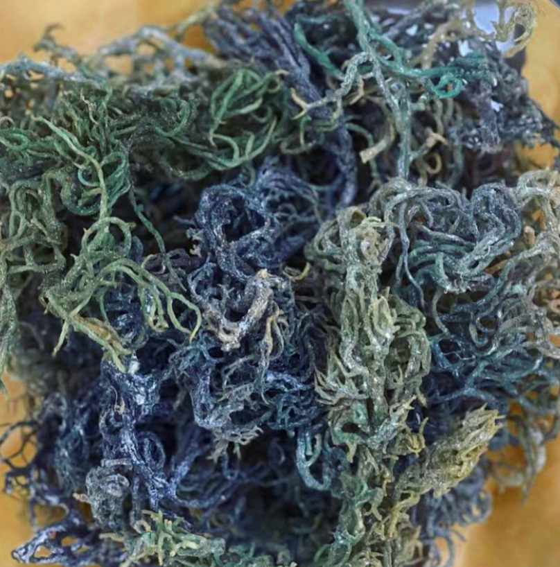 Green Dried Sea Moss