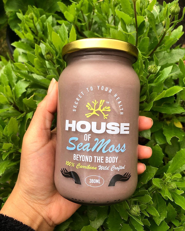 Create Your Own Sea Moss & Herb Blend