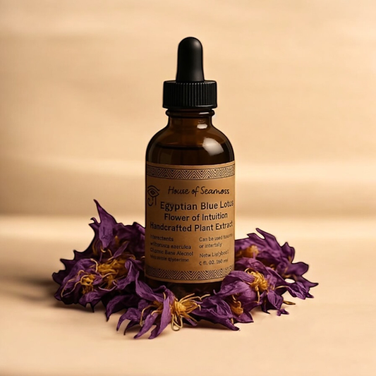 Egyptian Blue Lotus Tincture