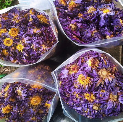 Egyptian Blue Lotus Tincture