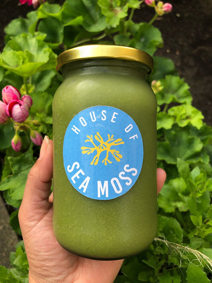Create Your Own Sea Moss & Herb Blend