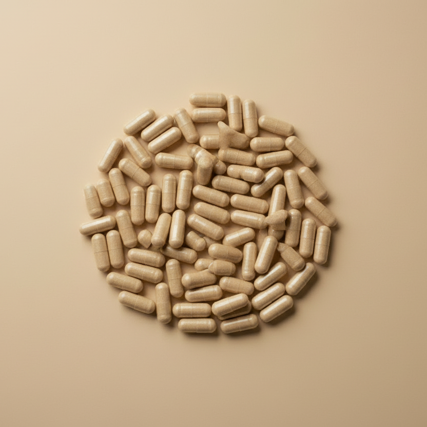 Lions Mane Mushrooms