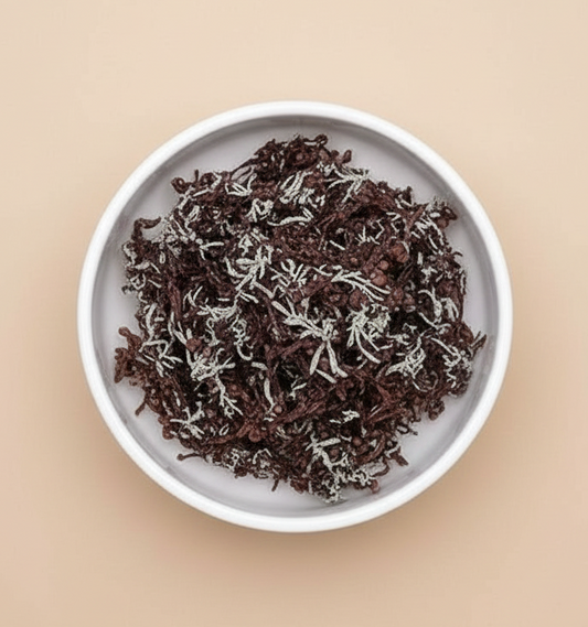 جل الطحالب البحرية الأرجوانية