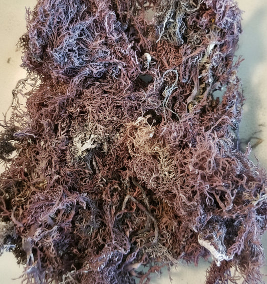 Purple Dried Sea Moss