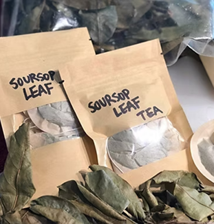 Soursop Leaves