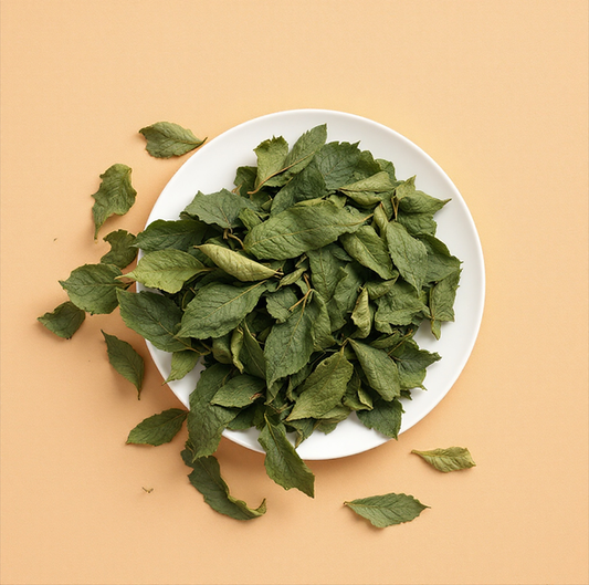 لحاء الدردار الزلق 