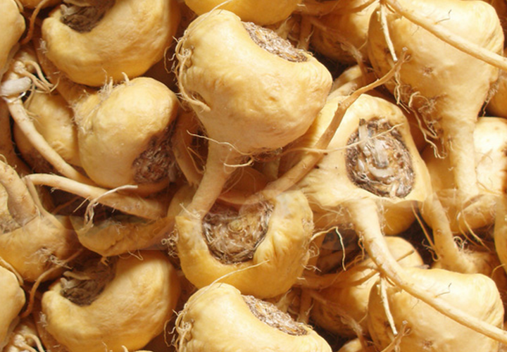 Maca Root