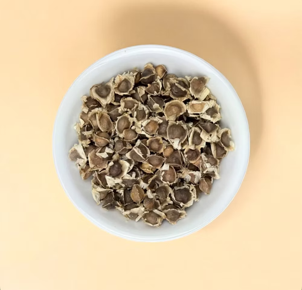 Moringa Seeds