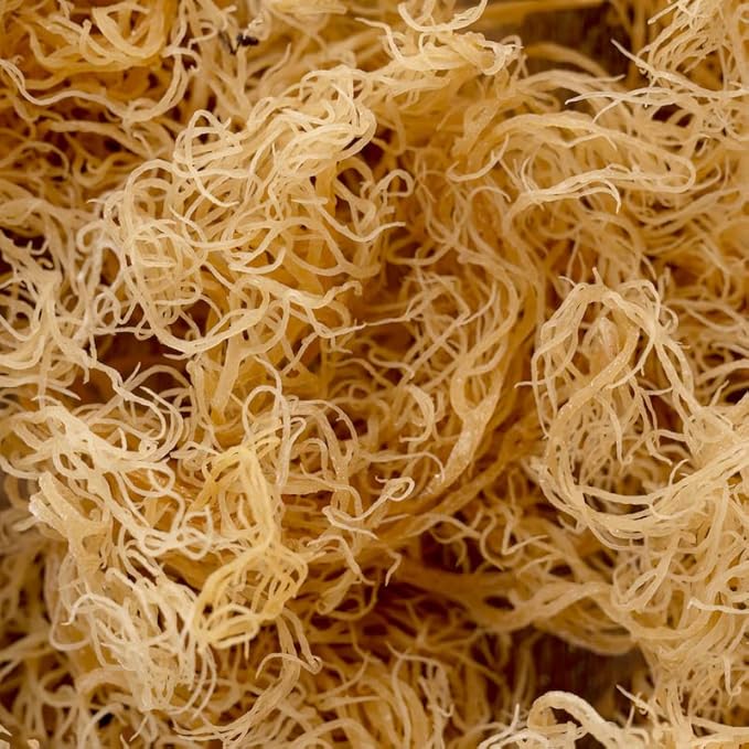 Sea Moss