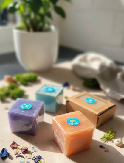 Create Your Own Winter Bundle