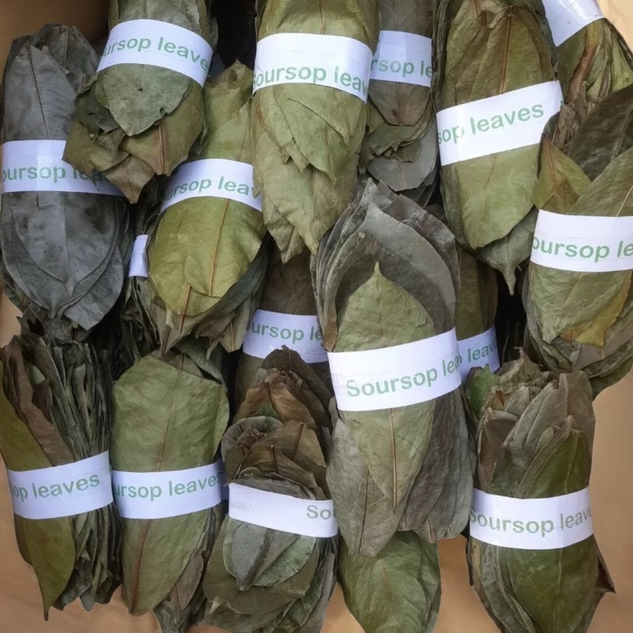 Soursop Leaves