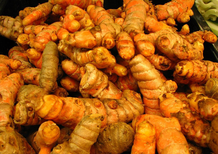 Turmeric